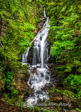 DP_NWG-145 Spring at Moss Glen Falls Stowe