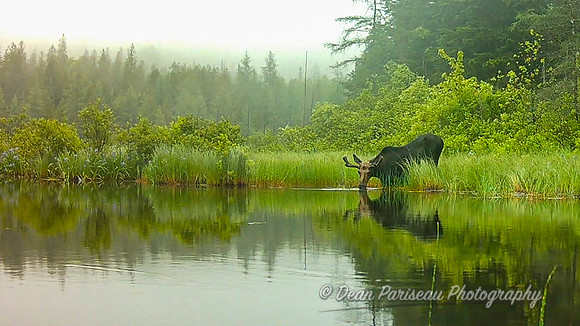 DP_NWG-221 Testing the Waters