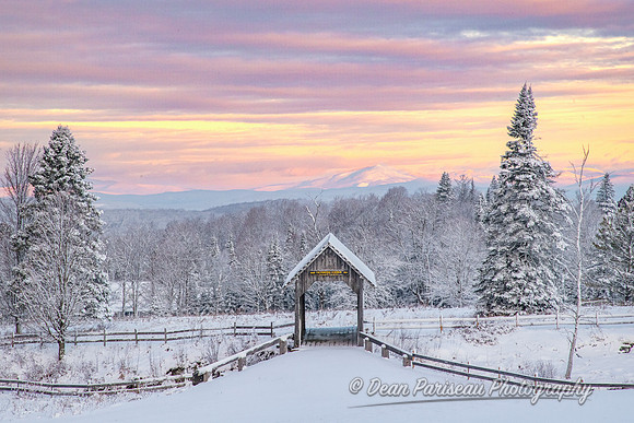 DP_NWG-227 Peaceful Winter Morning at AM Foster