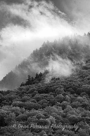 DP_NWG-277 After the Rain