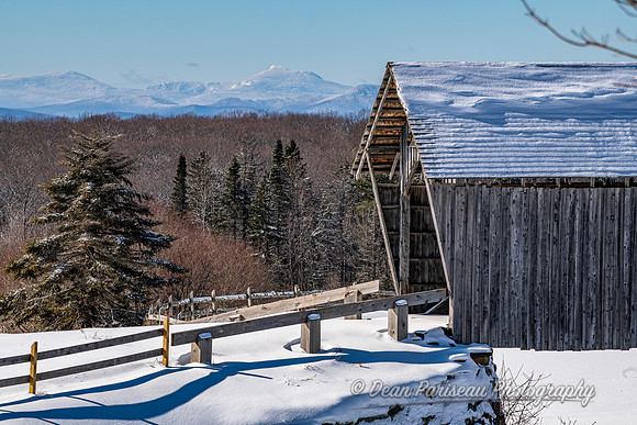 DP_NWG-292 Winters Magic at AM Foster with Camels Hump