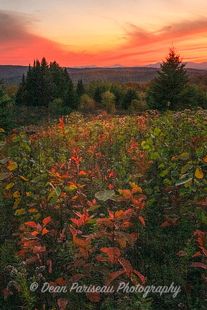 DP_NWG-321 Auturm Sunset with Camels Hump