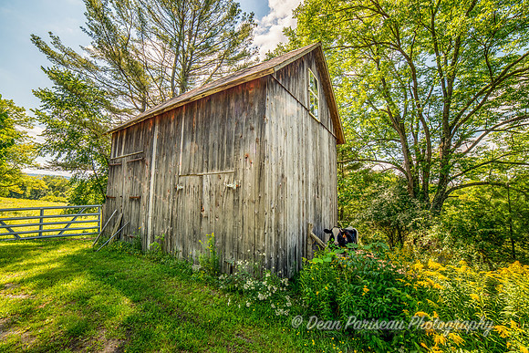 505 Little Brown Barn with Cow