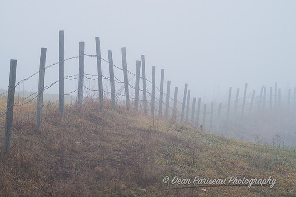 521Fence Line in Fog