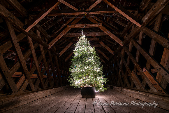 Creamery Covered Bridge Christmas Tree Brattleboro VT