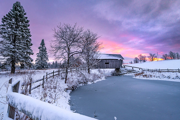 AM Foster Purple Dawn