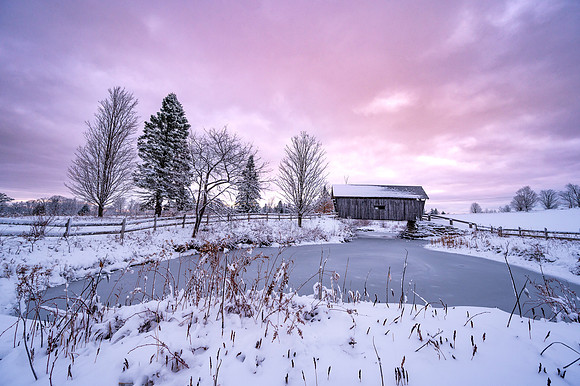 AM Foster Winter Sunrise