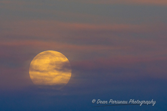 580 Pastel Moon